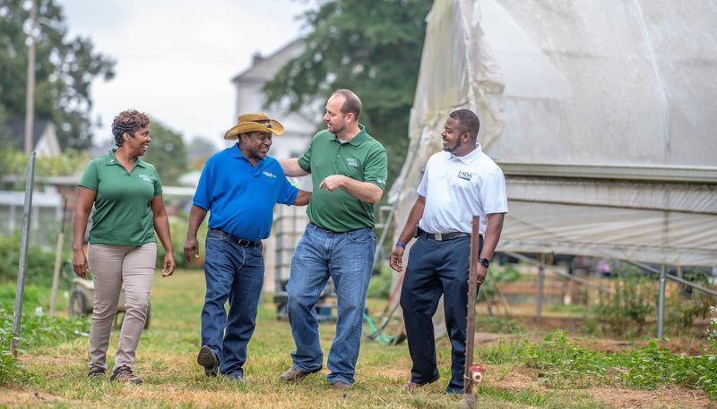 Farmers and consultants jovially walk through a field with vegetable patches and high tunnels