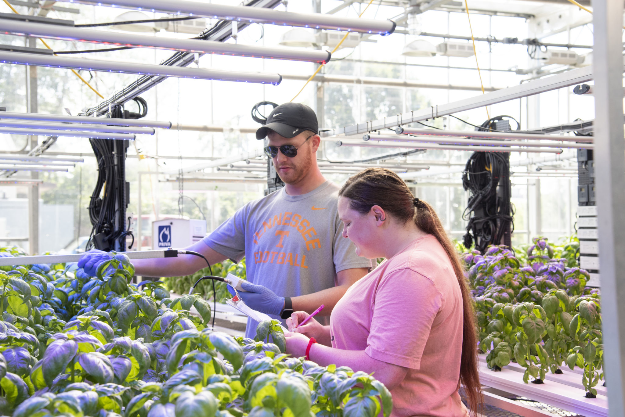 Graduate Programs | Department of Plant Sciences