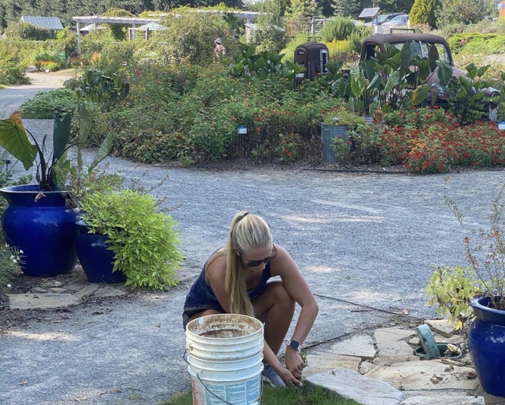 Devon Carroll weeds the GSA's Adopt-A-Spot in UT Gardens