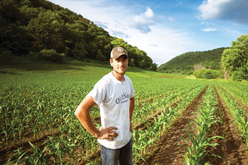 A man proudly stands in front of his young corn crop