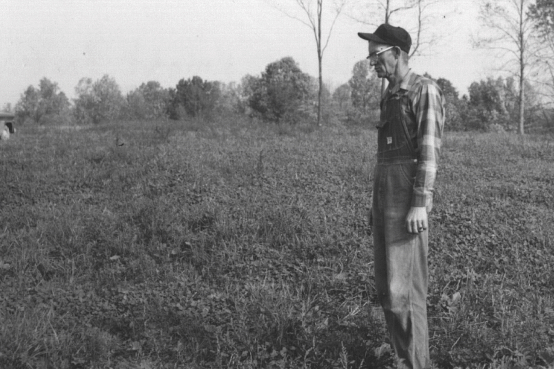 Antique black and white photo of a man standing in a forage field looking at the grasses there