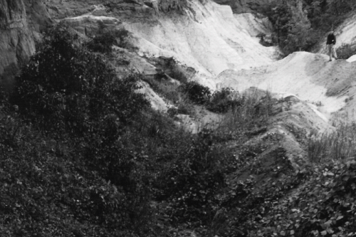 Antique black and white photo of a man standing next to a gulley covered in kudzu vine