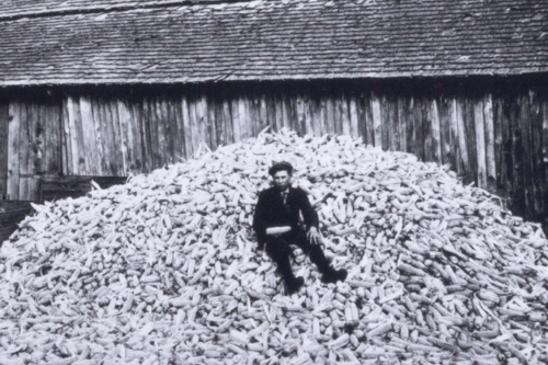 An antique black and white photo of a child sitting on a large pile of corn