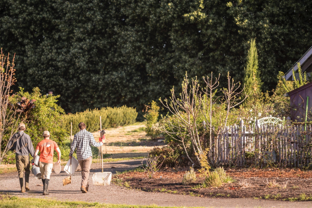 Three students walk away from the camera in UT Gardens beside the light purple picket fence of the Helping Hands Kitchen Garden