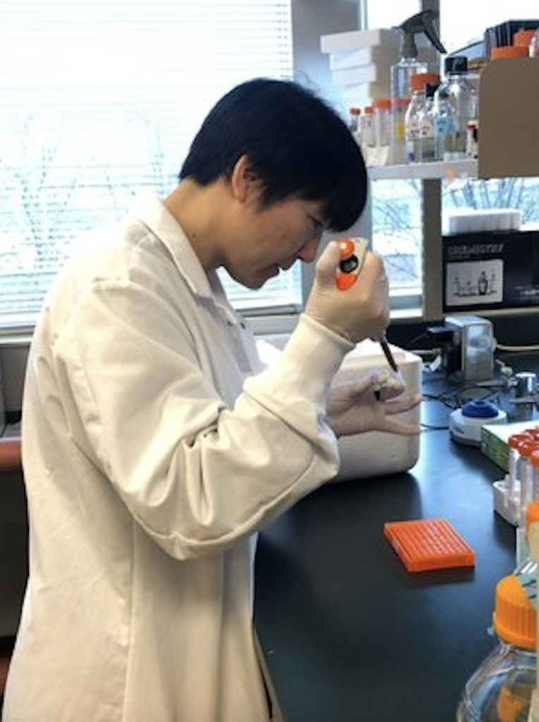 Researcher in lab coat uses a tool to insert plant material in a test tube