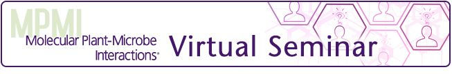 MPMI Virtual Seminar logo