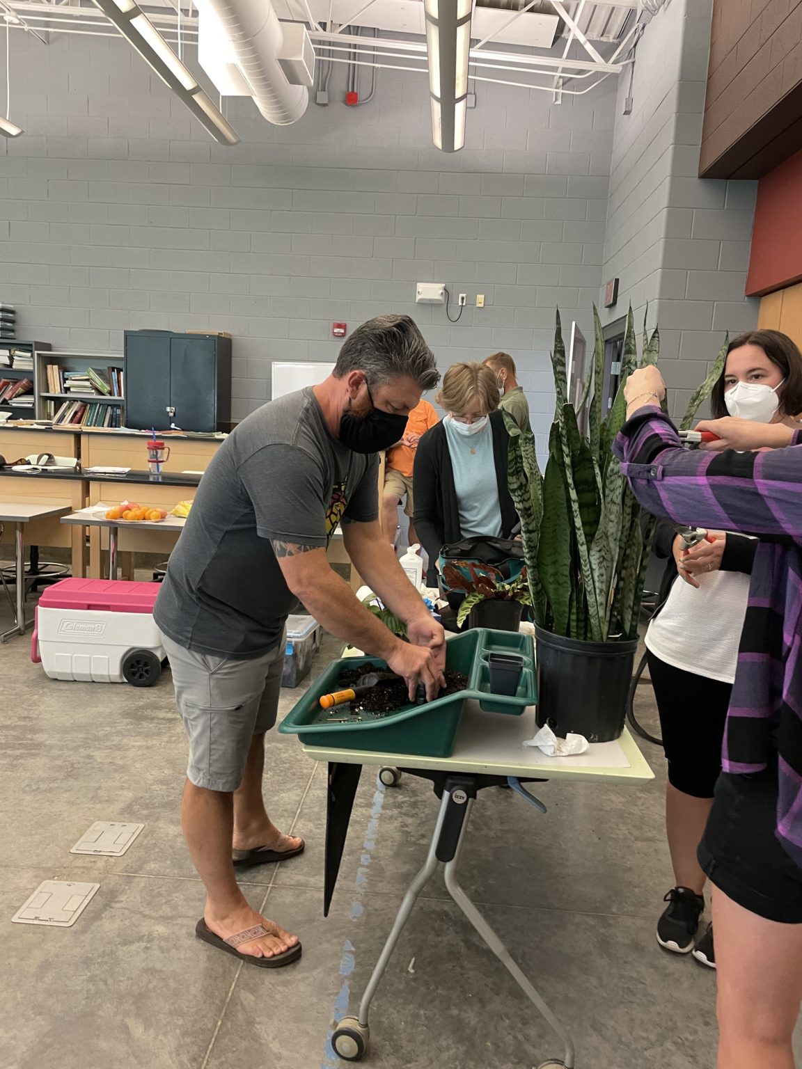 Horticultural Therapy Certificate Program Department of Plant Sciences Horticultural Therapy Certificate Program Department of Plant Sciences