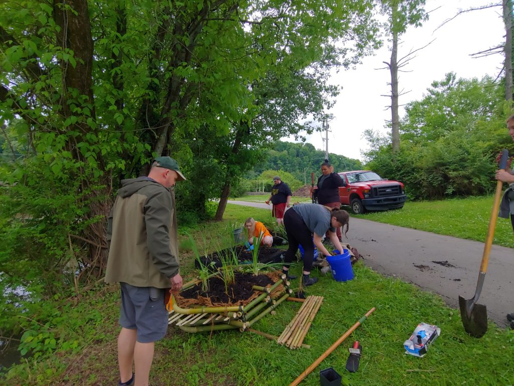 Students working on creating a floating wetland