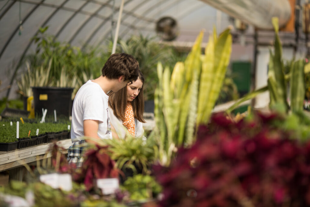 People working in a greenhouse