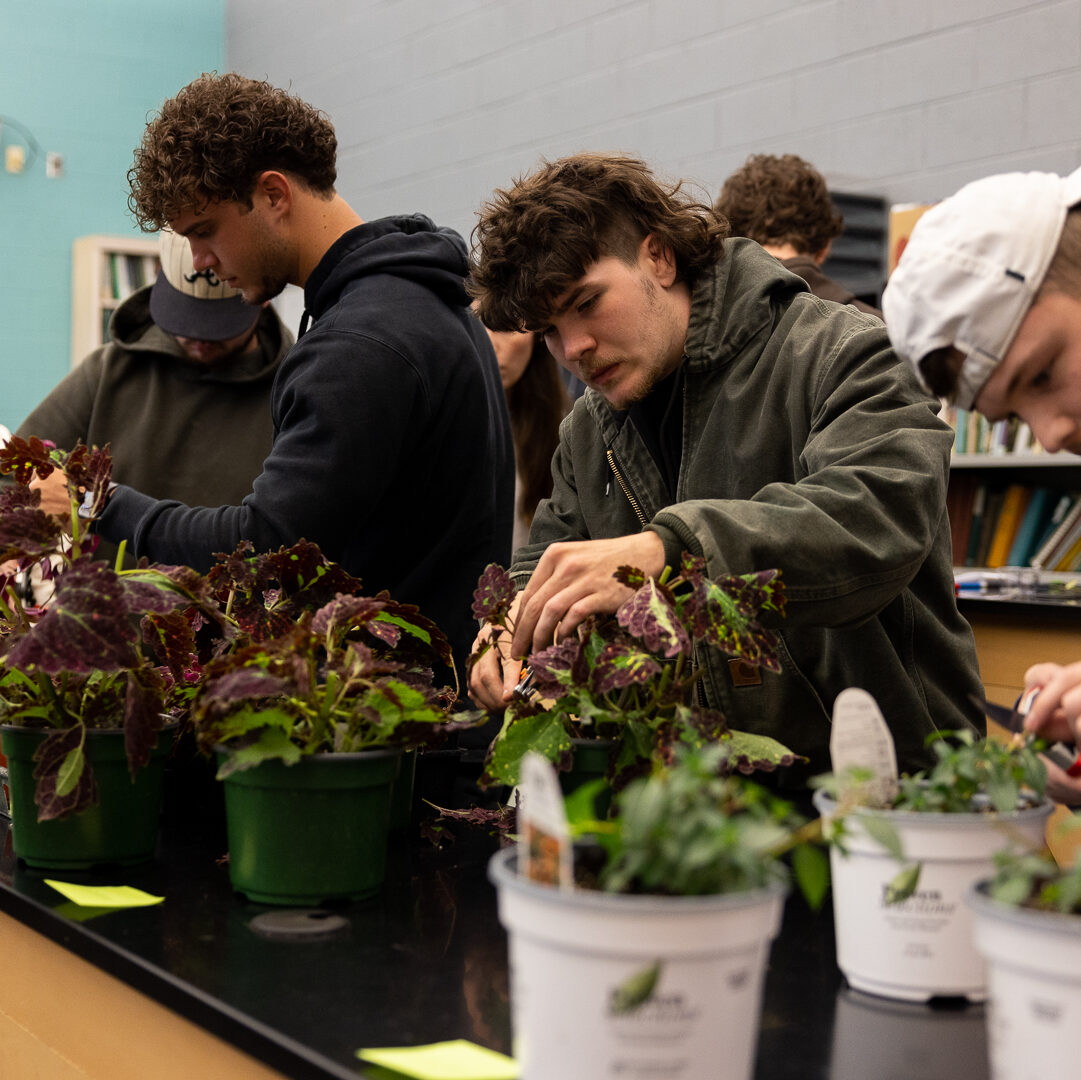 Undergraduate Program Department Of Plant Sciences Undergraduate Program Department Of Plant Sciences