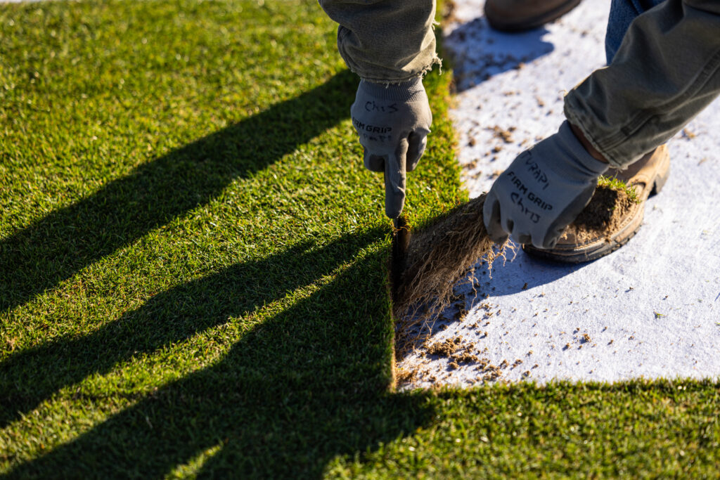 Person cutting turfgrass