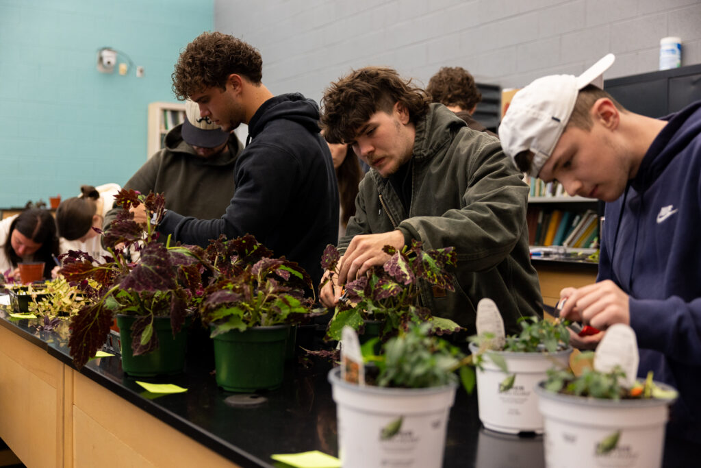 Students trimming plants in class