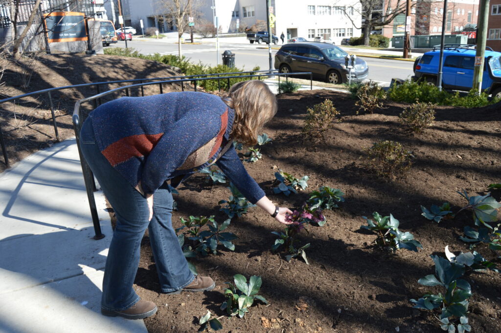 Photo of a woman leaning over touching plants