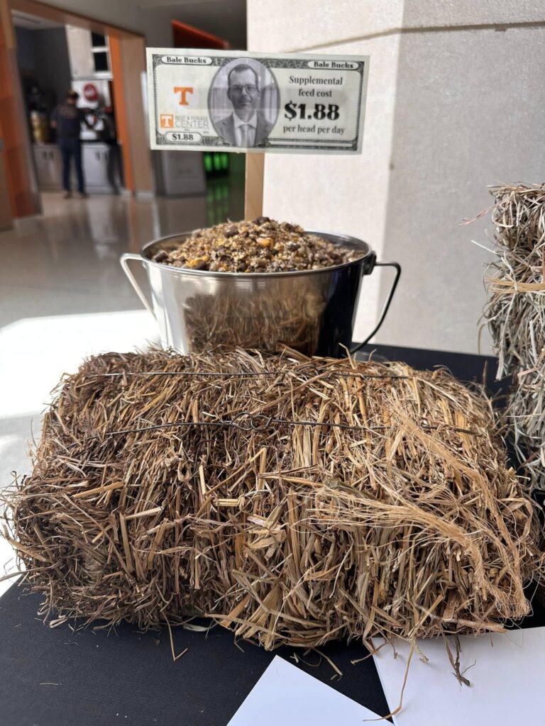 Bale of hay with fake money on it