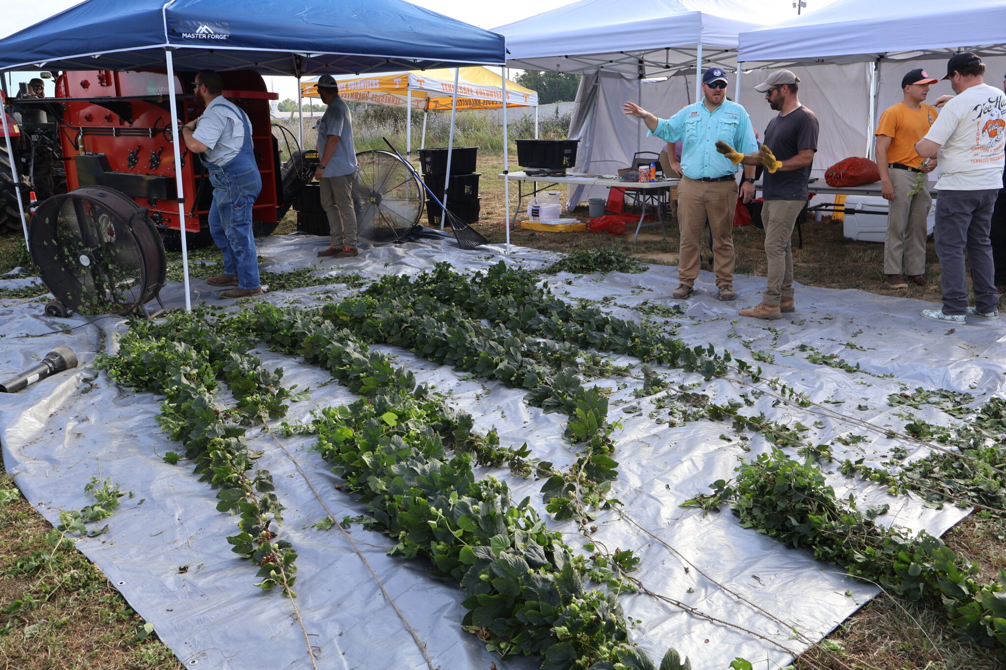 Hops on the ground with people nearby