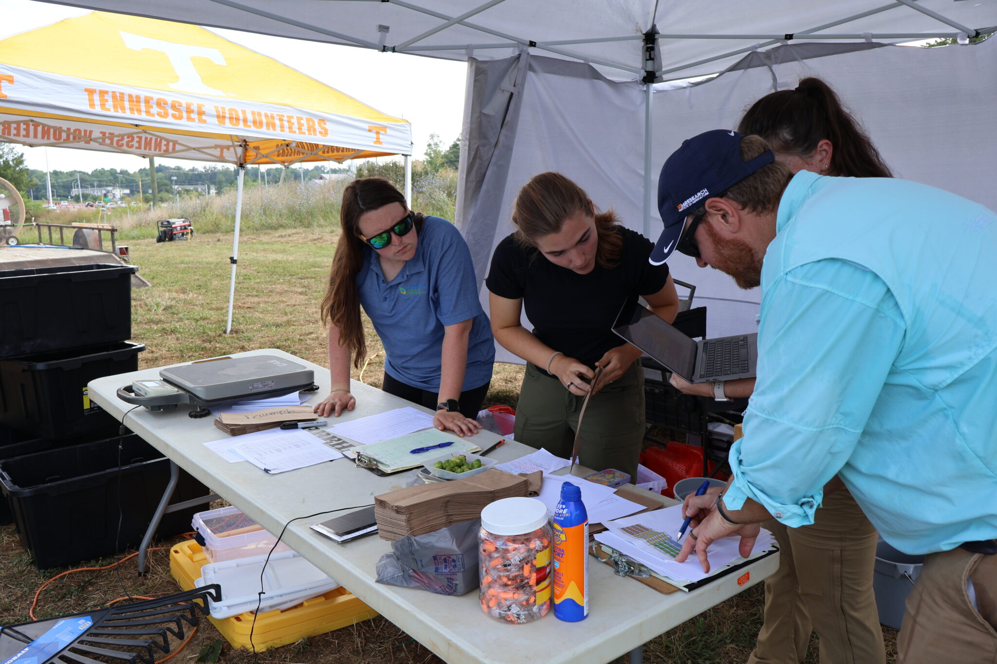 Group of people analyzing data