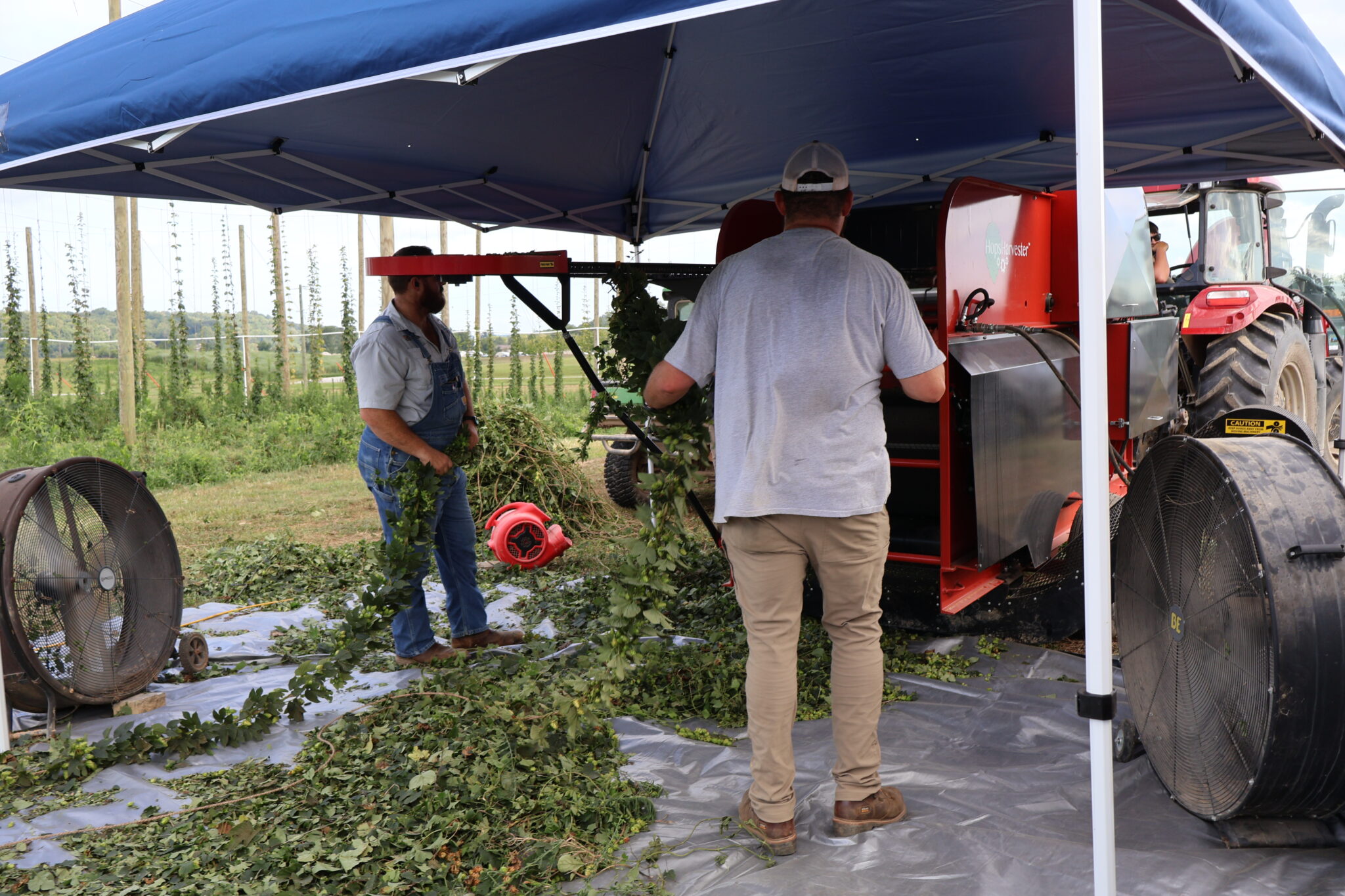 Men working the Hops Harvester machine