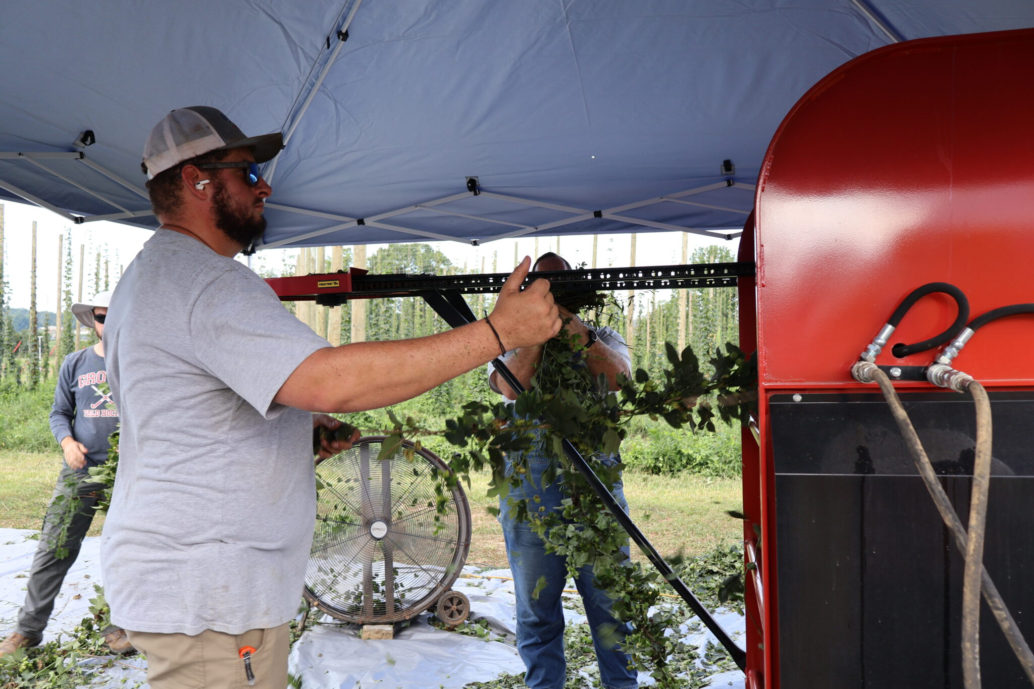 Man loading hops into the Hops Harvester