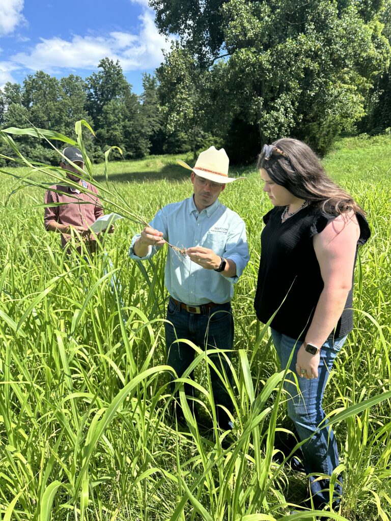 Man and woman in a tall field of hay