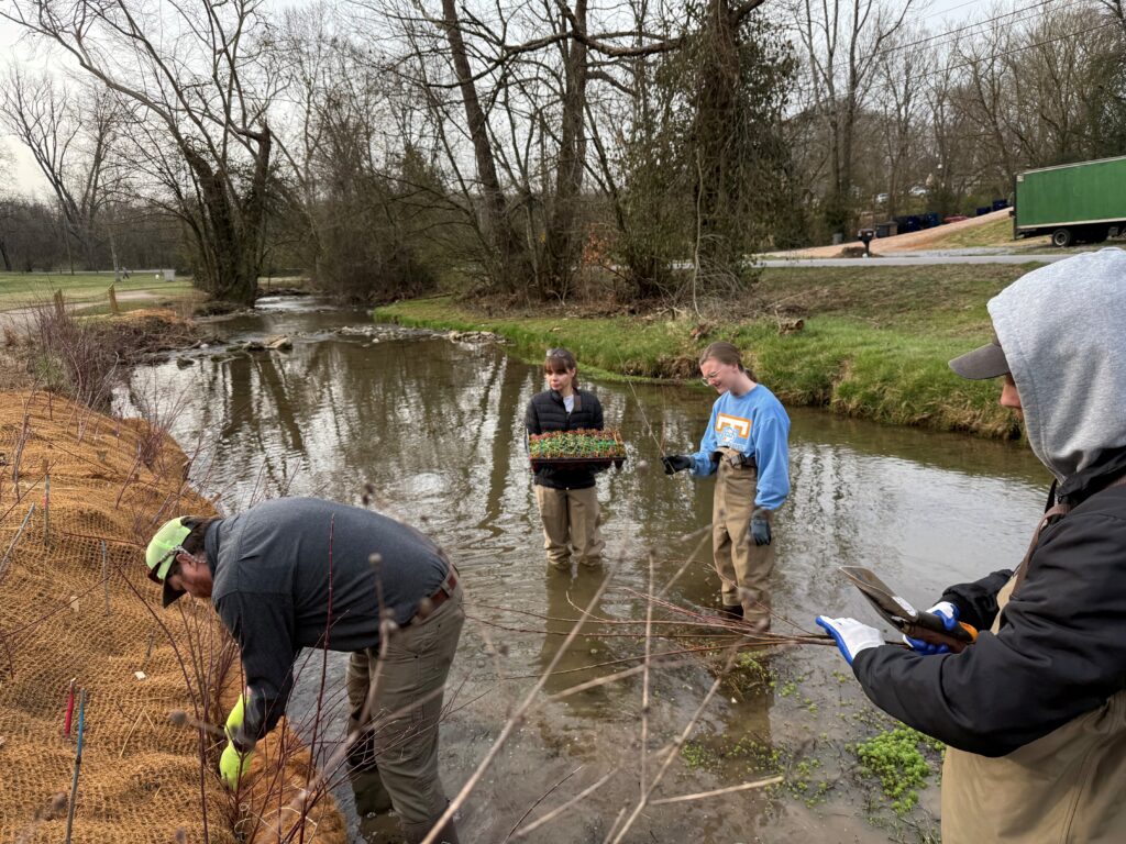 Photo of students in a creek with plants