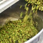 Photo of hops being poured into a bowl