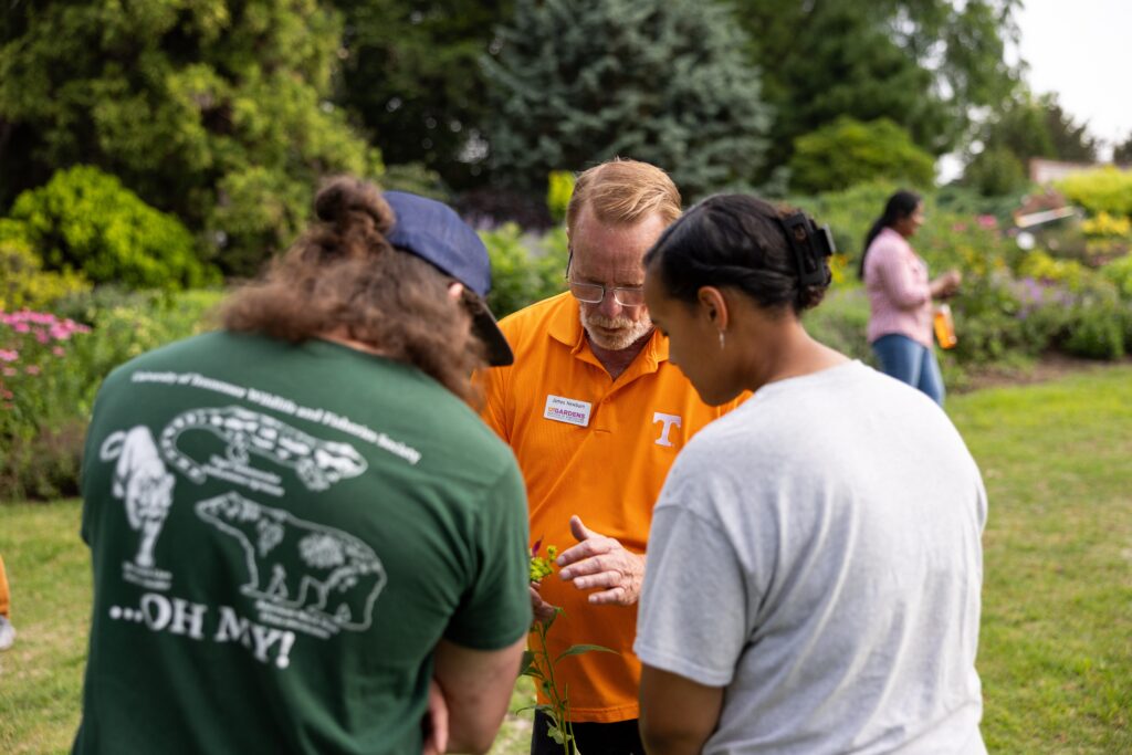 Close-up of three people looking at a plant