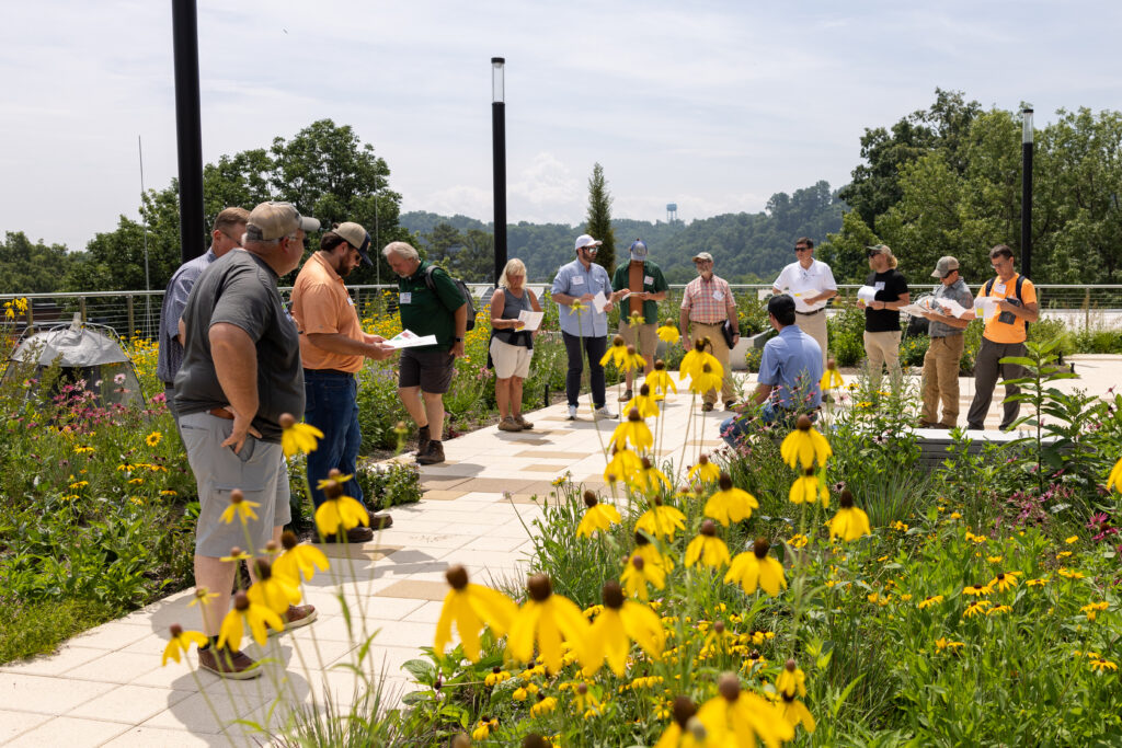 Group exploring the green roof