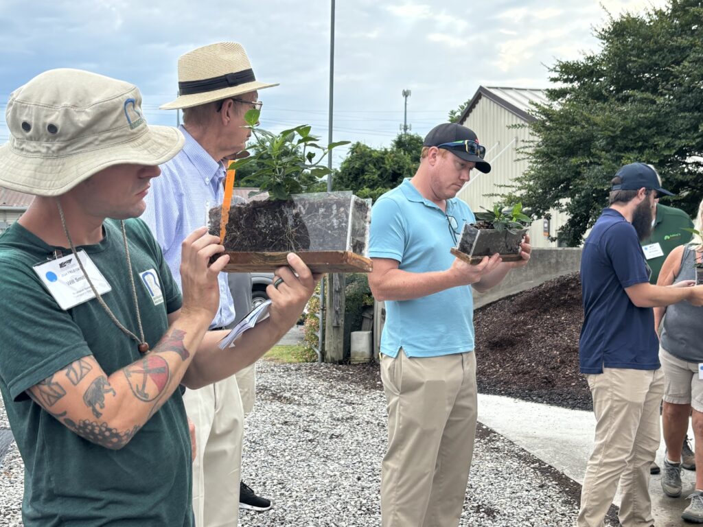 People looking at plants in soil