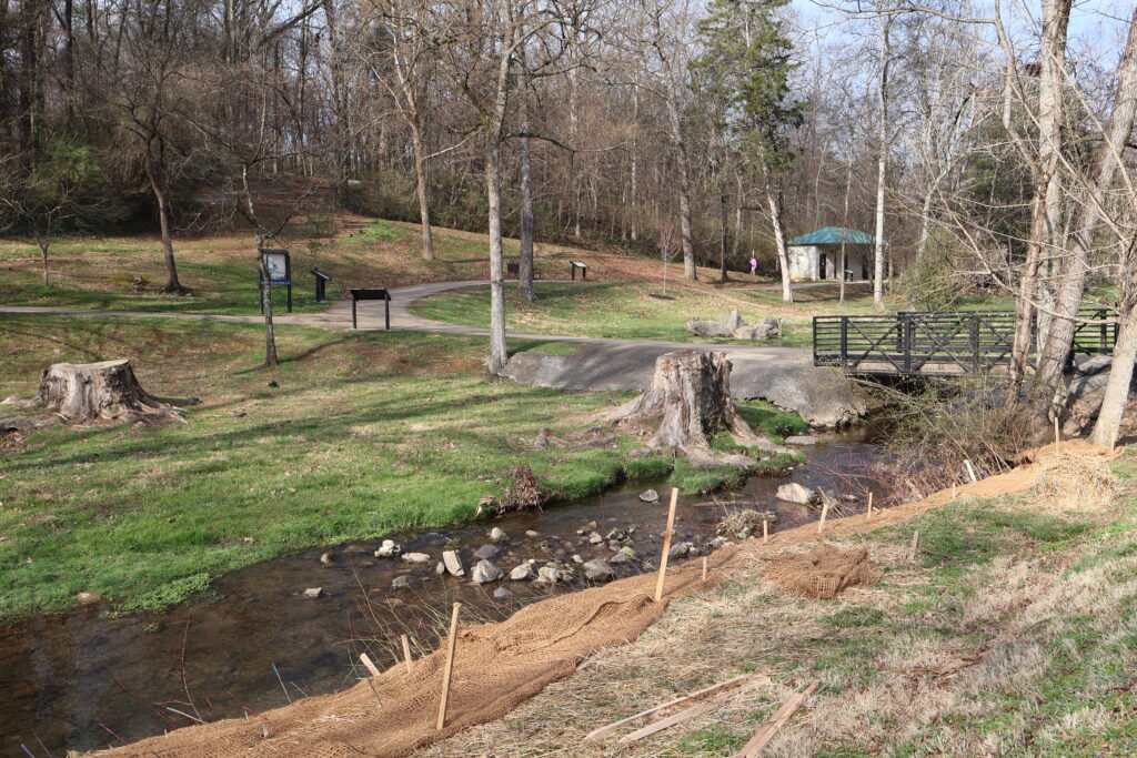 Founders Park streambank