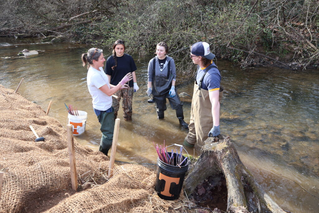 People watching a demonstration while in a stream