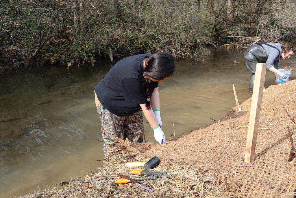 Students working on a streambank