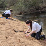 Students planting things near a stream
