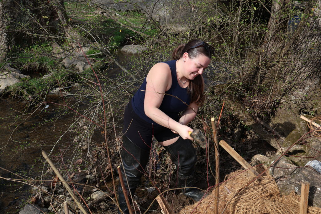Student hammering a stake in the ground