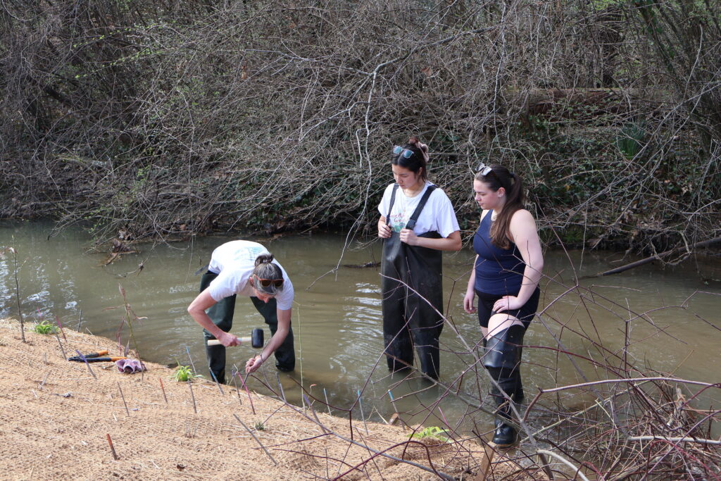 People working in a streambank