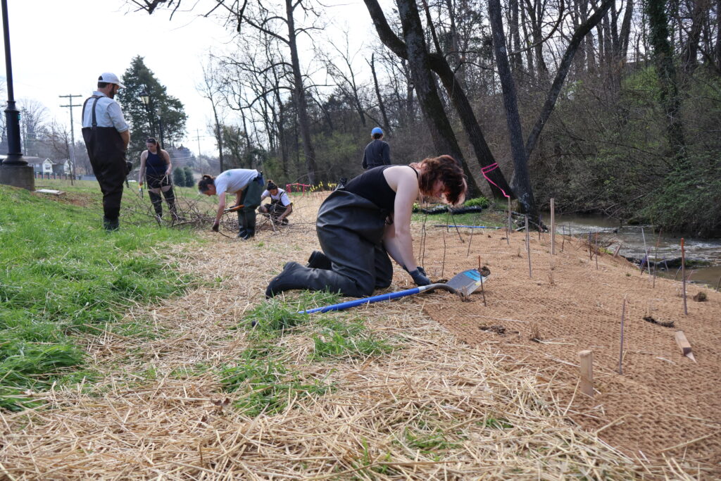 Students working in dirt