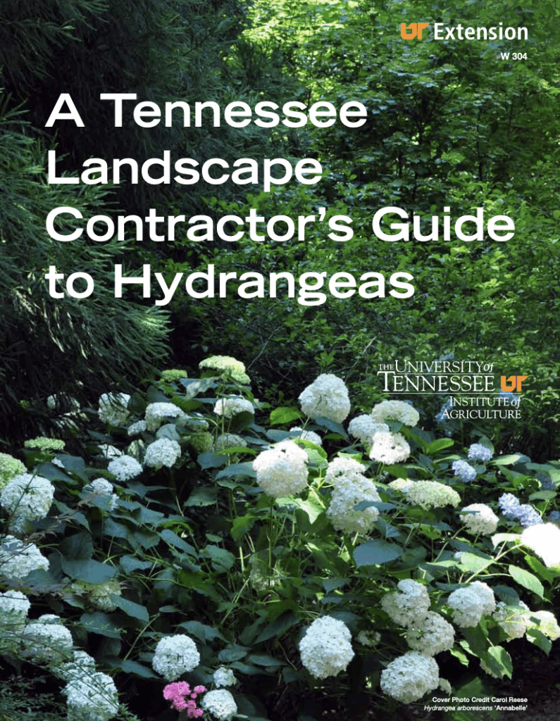 First page of W304 Extension Publication