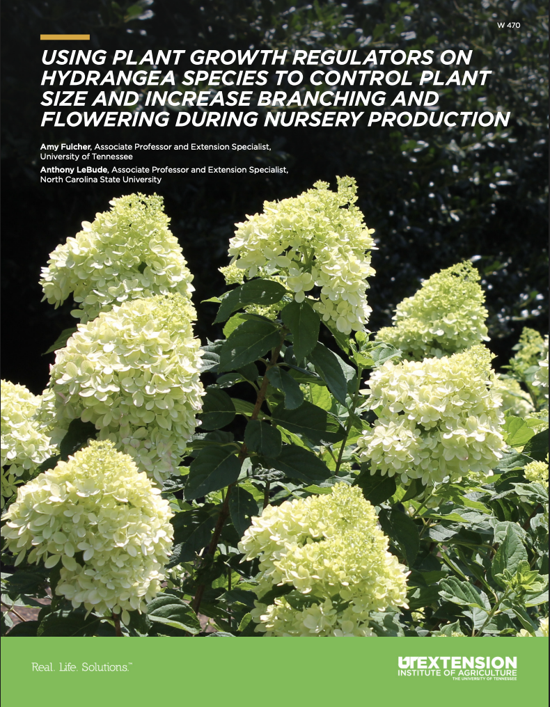 First page of W470 Extension Publication