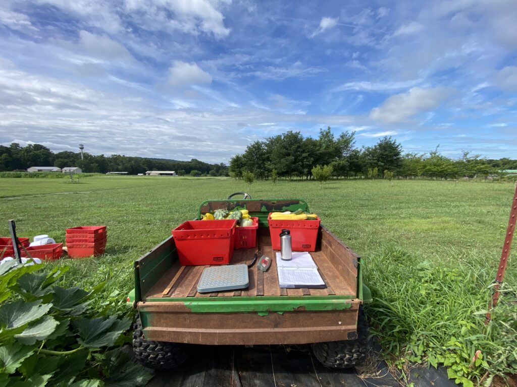 Photo of the back of a wagon with buckets of vegetables, a clipboard and water in the back