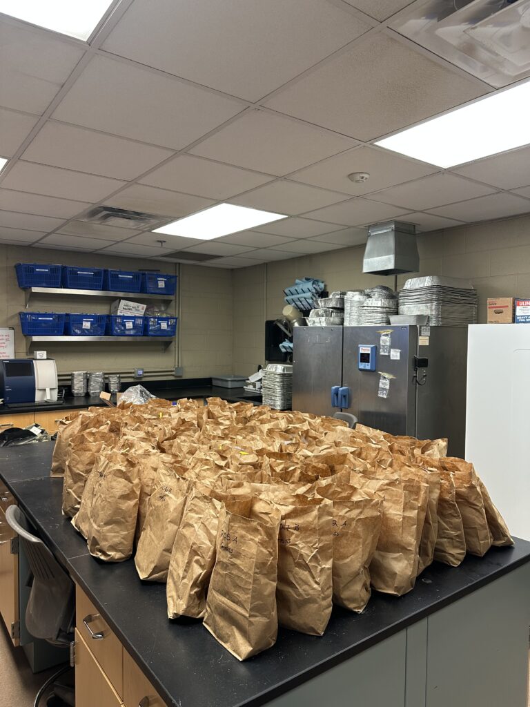 Brown bags on a lab counter
