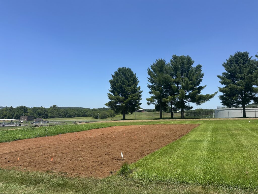 Photo of a farm plot