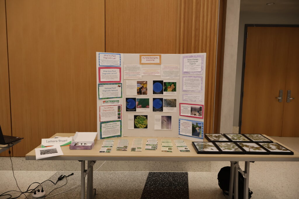 Photo of a table with a poster board, rack cards, display insects, and framed plants
