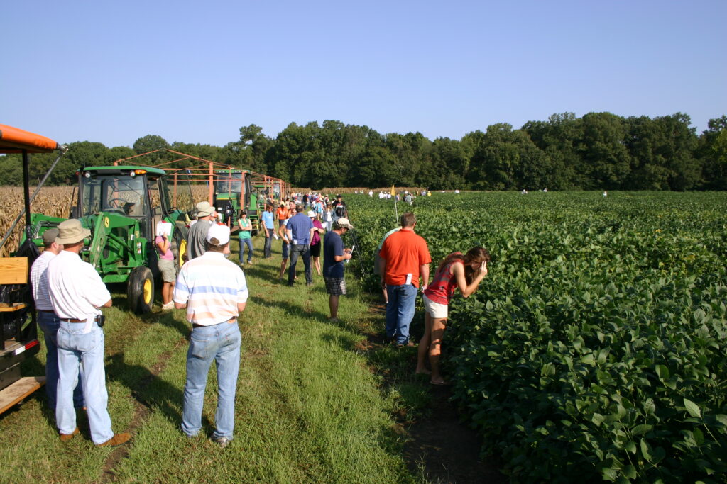 People standing in a farm