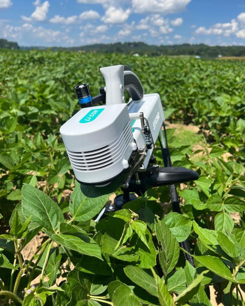 Farming tool in the middle of crops