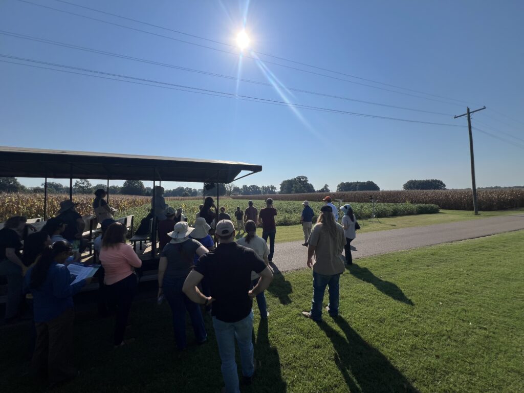 People standing and sitting on a trolley at a farm in the bright sun